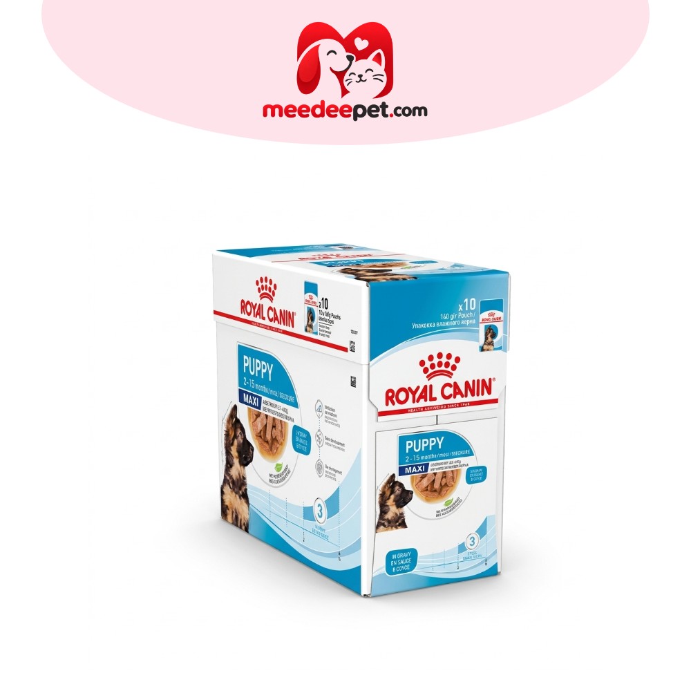 [10 ซอง] Royal Canin Maxi Puppy Pouch Gravy อาหารเปียกลูกสุนัขพันธุ์ใหญ่ อายุ2-15เดือน (เกรวี่,Wet Dog Food,โรยัล คานิน)