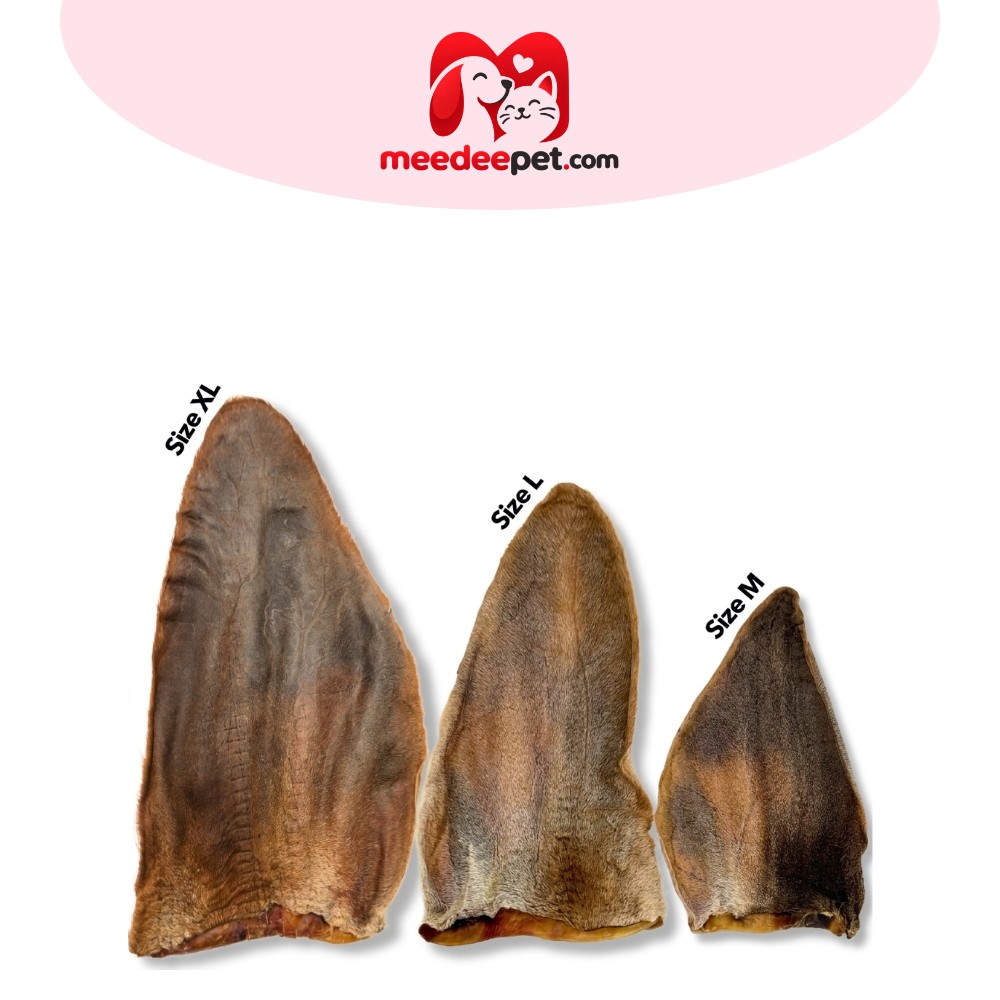 Jelly Pet หูวัวอบแห้ง ขนมขัดฟันสุนัข Dehydrated Cow Ear Dog Treat ขนมสุนัขสุขภาพ ขนมหมาสุขภาพ