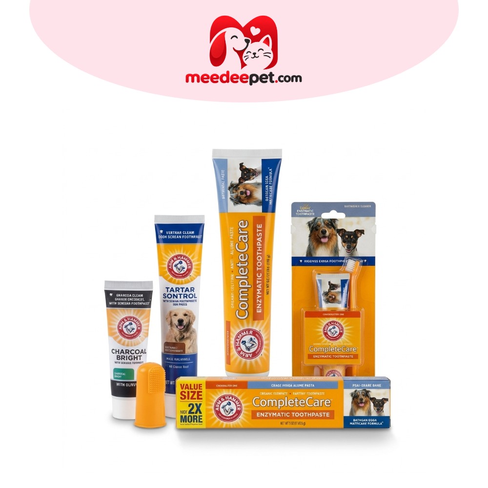 [แบรนด์แท้ USA🇺🇸] Arm and Hammer ยาสีฟันสุนัข กลิ่นปากเหม็นหาย หมาปากเหม็น มีหินปูน